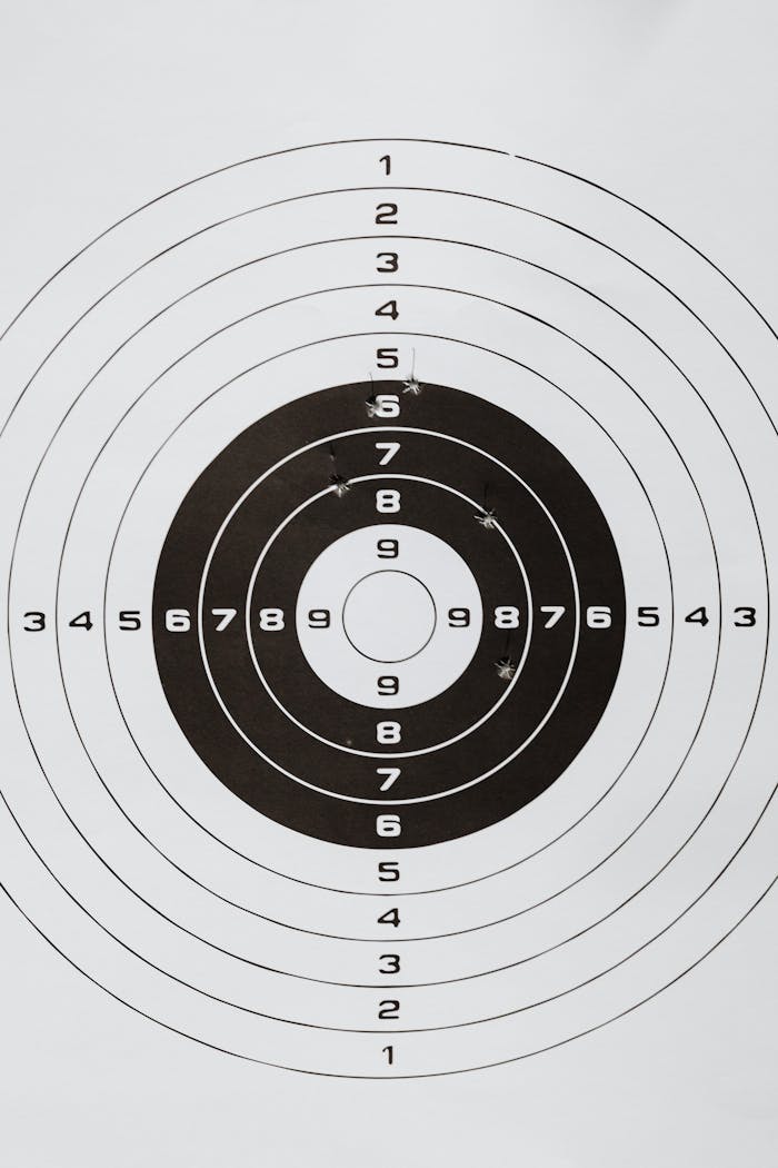 services-01 Detailed image of a shooting range paper target showing multiple rings and numbers.